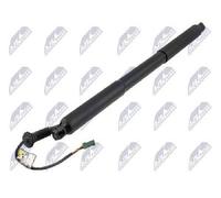 NTY Electric Tailgate Latch Motor Reinforced Right 585 mm AE-PE-049