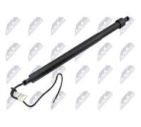 NTY Electric Tailgate Motor AE-PE-050 for Peugeot, Left, Reinforced