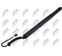 NTY Electric Tailgate Motor AE-WW-114 for VW