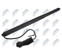 TAILGATE GAS SPRING For VW TRANSPORTER T6 2015- /LEFT/RIGHT/