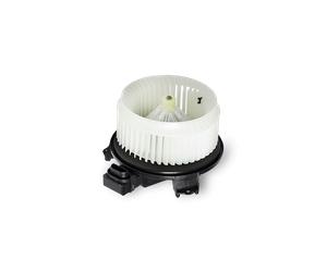 NTY EWN-WW-014 Blower motor