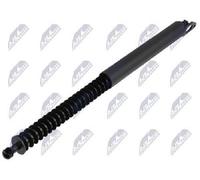 NTY Gas Strut Trunk Cargo Area AE-BM-143 For BMW, Rear Left, Reinforced
