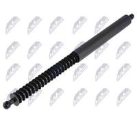 NTY Gas Strut Trunk/Load Compartment AE-BM-144 For BMW Rear Right Reinforced