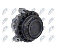 NTY Reinforced Hydrolager Right Engine Mounting for BMW ZPS-BM-028