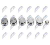 NTY Repair Kit Intake Manifold Module BKS-FT-008 for Alfa Romeo Fiat Lancia