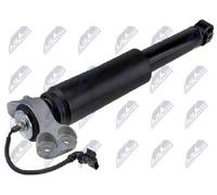 NTY Shock Absorber A-CH-023 For Cadillac Rear Axle Right Strut