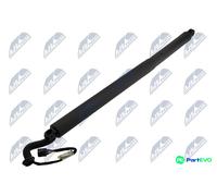 TAILGATE GAS SPRING LEFT FOR NISSAN MURANO Z52 15-