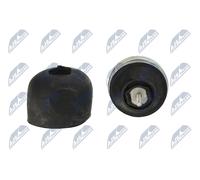 Engine mount Front Hydro Mount ZPS-AU-036 NTY for AUDI VW SKODA
