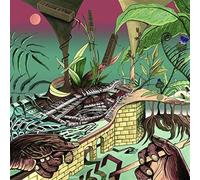 Nu Guinea - The Tony Allen Experiments (Afrobeat Makers 3) [VINYL]