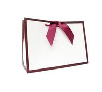 Nu-Nuel Luxury Gift Bag with Ribbon | Matt Laminated Paper Bags with Rope Handles | 10 Medium Gift Bag for Birthday, Wedding, Valentine's Day Gift Bags (10, MEDIUM - 310x220x120mm)