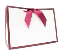 Nu-Nuel Luxury Gift Bag with Ribbon | Matt Laminated Paper Bags with Rope Handles | 2 Medium Gift Bags for Birthday, Wedding, Valentine's Day (2, MEDIUM - 310x220x120mm)