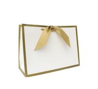 Nu-Nuel Luxury Paper Bag | Matt Laminated Gift Bags with Rope Handles | 10 Medium Boutique Gift Bags (10, MEDIUM - 310x220x120mm)