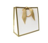 Nu-Nuel Luxury Paper Bag | Matt Laminated Gift Bags with Rope Handles | 2 Small Boutique Gift Bags (2, SMALL - 230x220x90mm)