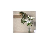 nu wallpaper POPLIN TAN peel & stick wallpaper
