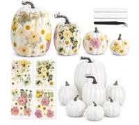 Nuanchu 107ps DIY Halloween Fall Foam Pumpkin for Craft Kit 7 Pcs White Foam Pumpkins 100 Pcs Autumn Faux Dried Flowers with Glue & Clips for Girl Night Craft Fall Home Decor(Light Color Style)