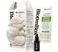 NuBlume Organic Lion's Mane Mushroom Grow Kit | Grow Your Own Fresh Gourmet Mushrooms at Home | Edible Indoor Mushroom Growing Kits Great Gift for Kids & Adults