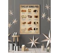 Nuboxx Types of guinea pigs, guinea pig knowledge art, knowledge metal tin sign guinea pig Poster, guinea pig, guinea pig wall art, guinea pig gifts metal tin signs 6x8 Inch