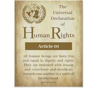 Nuboxx Universal Declaration Of Human Rights Article Vintage Novelty Funny Bathroom Parlor Retro Home Gift Yard Garden Celebration Farm Courtyard Posters Metal Tin Signs Wall Decor 8x12 Inch