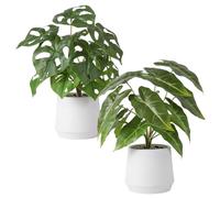 Nubry 2 Pack Artificial Plants in White Pots, 13” Tall Indoor Faux Plants for Home & Office Decor, Set of 2 Fake Greenery for Living Room, Bedroom, Bathroom