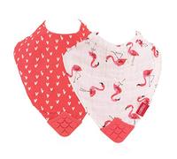 Nûby - Bib with Teething Corner - Pink - 3 m