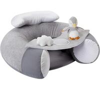 Nuby Penguin Sit-Me-Up Baby Seat - Inflatable Sit & Play Floor Seat | Detachable Tray | Machine Washable | Suitable from 6 Months Plus (Grey)
