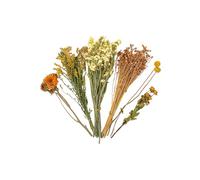 Nucelit Colorful Flower Hamster Cage Accessory with Dried for Natural Nesting and Decors Natural Hamster Bedding Dried
