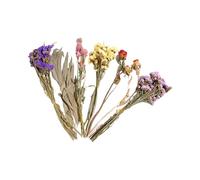 Nucelit Colorful Flower Hamster Cage Accessory with Dried for Natural Nesting and Decors Natural Hamster Bedding Dried