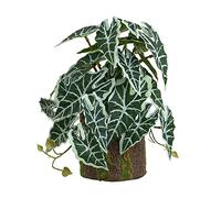 Nucelit Habitat Corner Green-Plants FishTank Landscaped Decoration for Bearded-Dragon Lizards Small Artificial for Bathroom Decor