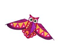 Nucelit Kids Rainbow Owl Kites With Sturdy Fiberglass Rods Vibrant Color Outdoor Flying Toy Portable For Park Playdates Nature Themed Educational Kites