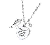 Nucelit Love Heart Pendant Pet Memorial Necklace Ashes Furs Container Holders Stainless Steel Lockets Urn Jewelry for Pet Loss Rustless Jewelry