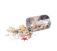 Nucelit Sea Shells Ornaments Aquarium Decor 3 Mixed Beach Seashells Sea Snail Coral for Fish for Tank Decora Bag of Seashells Mixed Beach
