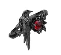 Nucelit Styles Crow Rings for Unique and Mysterious Fashion Lovers Finger Accessory for Parties Festivals and Daily Wear Alloy Statement Rings