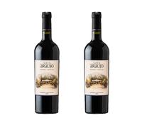 Nucha by Bodega Araujo Organic Malbec 2 x 75cl | Mendoza Argentina Red Wine | Fruity & Lightly Wooded | 14% ABV