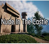Nude In The Castle Steam CD Key