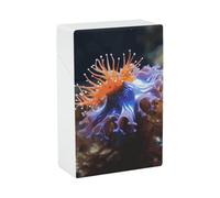 Nudibranch Cigarette Case Waterproof Smoke Storage Box Plastic Crush-Proof Cigarette Holder Box Container Portable Cigs Dispensers Regular Size for Men Women