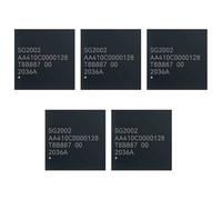 Nudiuhis 5PCS SG2002 256M Chip High Performance Chip for Milk-V-Duo Development Board