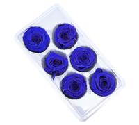 Nudiuhis 6PCS Preserved Life Flower 5-6cm Rose Head Wedding Party Decoration Lover Mother'S Day DIY Handmade Gift Flowers,E