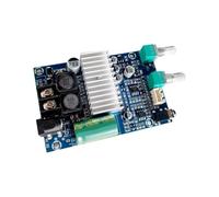 Nudiuhis TPA3116 High-Power Subwoofer Amplifier Board Mono 100W Fever Level Audio Quality 24V