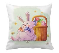 Nudoraw Easter Gifts for Adults Cushion Cover 45x45 Easter Gifts for Women Boys Easters Presents for Men Bunny Easters Decorations Mothers Day Birthday Christmas Valentines Presents for Women