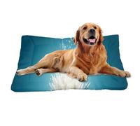 Nudoraw Small Dog Beds Washable,Cat Beds for Indoor Cats,Puppy Bed,Dog Mat for Cages,Dogs Pillow,Dogs Mattress for Crate,Rabbit Bed,Soft Cat Mats,Cats Cushion,Crate Mats,Starry Galaxy Lily,24X18In