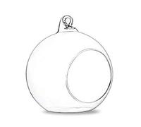 NUEAYMS Hanging Glass Planter Terrarium Globe Tea Light Candle Holder Succulents Vase Hanger Air Plant Terrarium for Home Wedding Party Indoor Outdoor Decoration 6cm