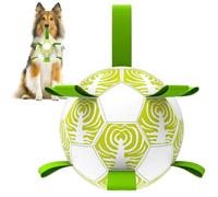 NUGUTIC Dog Toys Soccer Ball with Straps, World Cup Interactive Toys for Tug of War, Dog Water Toys, Puppy Birthday Gifts for Medium & Large Dogs (Cabbage Theme, 8 Inch)