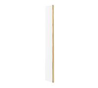 Nuie Wetroom Return Screen with Fittings | Brushed Brass | Aluminium/Glass | 215mm x 1850mm