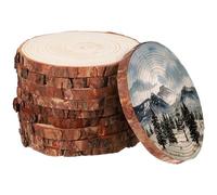 NULYLU 10 Pcs Rustic Round Wood Slices Coasters for Crafts and Home Decor, Unfinished Wooden Discs for Handmade Creativity and Protective Use in DIY Arts Projects