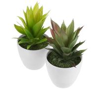 NULYLU 2pcs Fake Succulent Plant with Realistic Look and Natural Plastic Material, for Dining Table Or Windowsill Decoration, Refreshing Sense and Not Easily Fade Artificial Indoor Plants