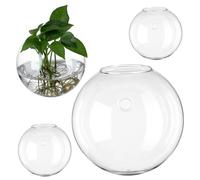 NULYLU 4pcs Hanging Glass Wall Propagation Station High Transparency for Indoor Plants Decor for Living Rooms Offices and Coffee Shops Smooth for Elegant Display