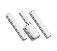 NULYLU 4pcs Nail Magnet Tool Cat Eye Nail Polish Magnets Kit Silver Magnetic Gel Polish Resistant to Fading Create Art Designs for Manicure