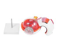 NULYLU 6X Enlarged Human Eye Anatomy Model Detachable Numbered Eyeball for Medical Student Supplies and Science Classroom