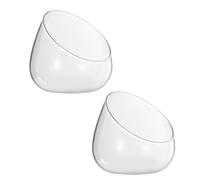 NULYLU Multi-functional Micro Landscape Bottle 2pcs Decorative Glass Vase with Glass Bowl Smooth Surface and Comfortable Hand Feeling, Beautiful for Plants for Home and Other Occasions