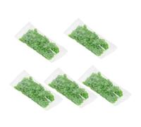NULYLU Polymer Clay Nail Patch Green Fruit Slices 5 Bags 10g Each Manicure Diy Nail Art Adornment and Phone Case Decoration